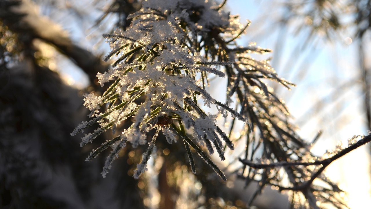 Главная картинка новости: «Февраль будет самым экстремальным в XXI веке». Синоптики назвали, к чему готовиться
