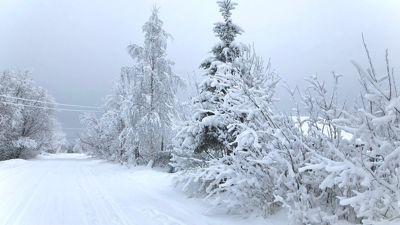 Главная картинка новости: Погода в Свердловской области с 8 по 11 января: снегопады, метели и аномальное тепло на юге