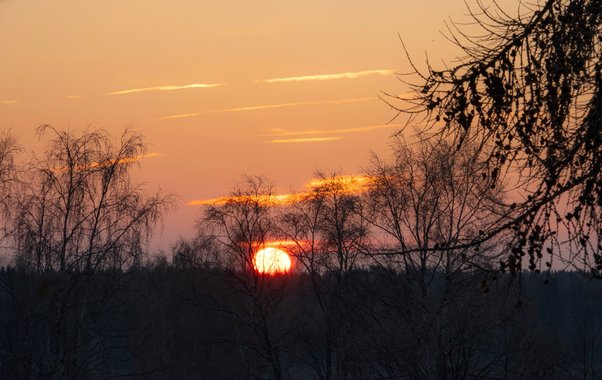 Весна-2026 обещает быть ранней и обманчивой: учёные и синоптики обновили прогноз — какие сюрпризы ждут россиян уже в феврале