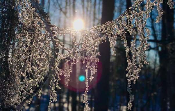 На Урал приходит оттепель: на выходных потеплеет до нуля