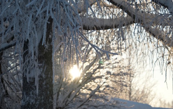 На Свердловскую область надвигаются мощные снегопады: метель, мокрый снег и резкие перепады температуры