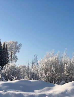 На Свердловскую область идут 20-градусные морозы: когда ждать похолодания