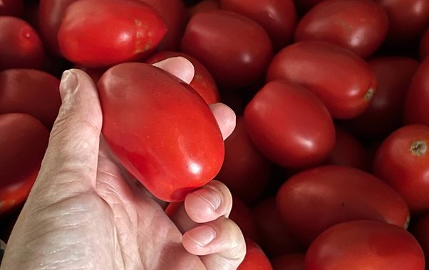 Морковь подорожала на 4,5%, помидоры — почти до 280 рублей: свежие данные по ценам на продукты в Свердловской области