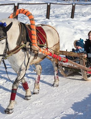 Масленица, марафон и подарки для защитников: куда сходить в Екатеринбурге 21–23 февраля — полная афиша