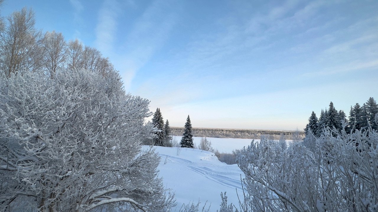 Главная картинка новости: Пустующие гектары для туризма: на Урале выявили более 370 гектаров земли под гостиницы и базы отдыха