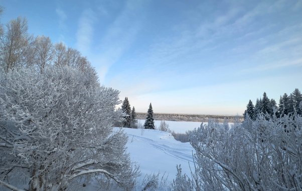 Пустующие гектары для туризма: на Урале выявили более 370 гектаров земли под гостиницы и базы отдыха