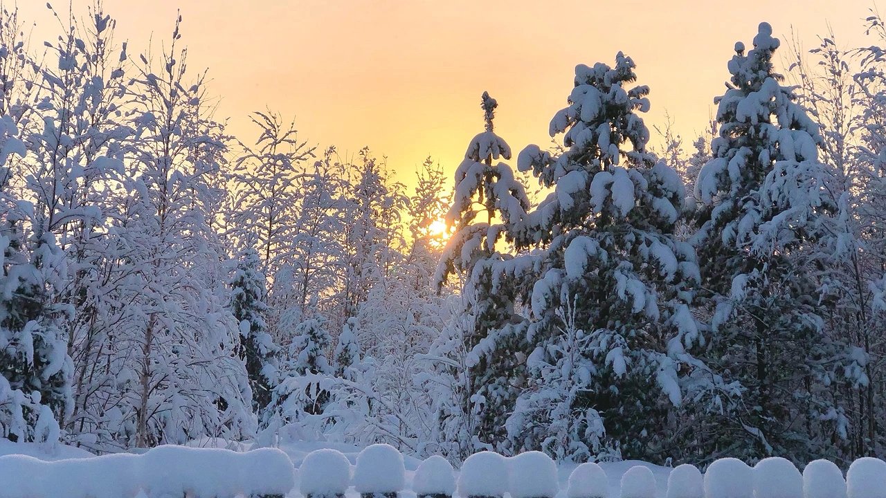 Главная картинка новости: Минус 32 на севере и метель на юге: Детальный прогноз погоды в Свердловской области на неделю с 10 по 13 февраля