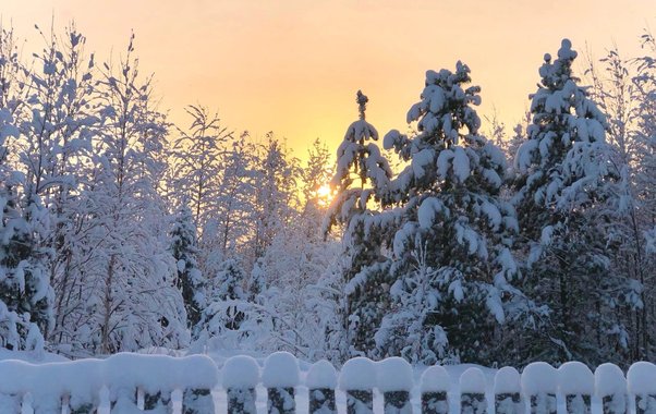 Минус 32 на севере и метель на юге: Детальный прогноз погоды в Свердловской области на неделю с 10 по 13 февраля