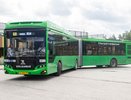 Конец давке: в Екатеринбург придут 15 новых автобусов-гармошек — когда ждать и где поедут