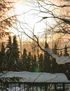 Тепло вернётся на Средний Урал уже завтра: прогноз на ближайшие дни