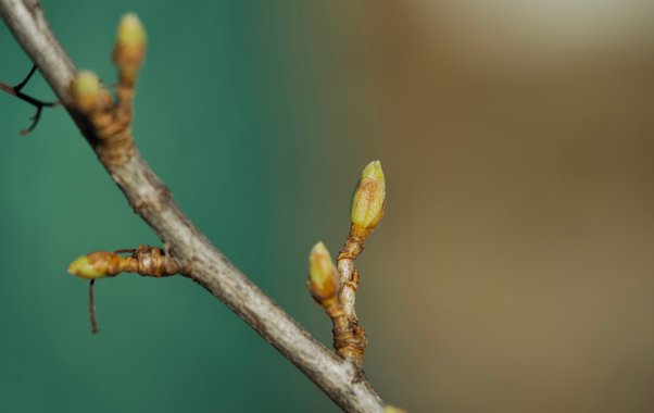 В Екатеринбурге побит 120-летний рекорд: синоптики обещают +20 — когда ждать пик тепла