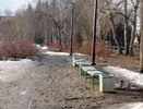 Дендропарк на Первомайской в Екатеринбурге с 1 апреля закроют на просушку