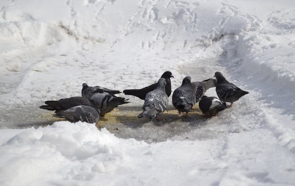 Кошмарные морозы наконец отступают: точная дата, когда на Урале станет тепло до +5