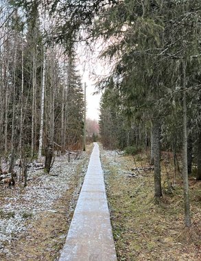 «Снег на майских праздниках 2026»: Вильфанд дал новый прогноз — куртки пока не прячем