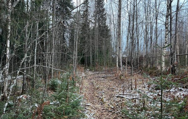 Весна придёт и уйдёт: на Урале потеплеет до +16, а затем нагрянут дожди со снегом