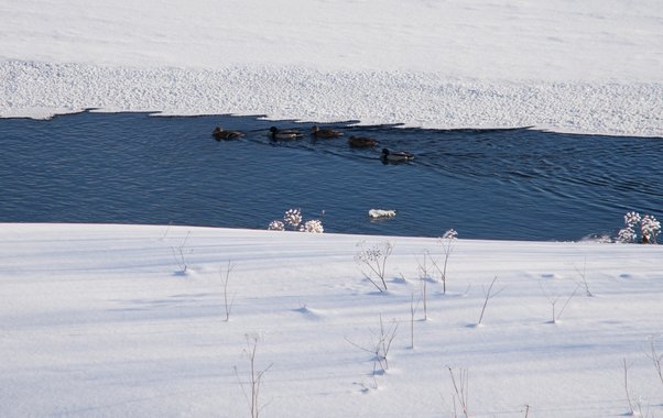 Двое рыбаков погибли на водоемах Свердловской области за один день