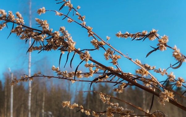 Синоптики предупредили свердловчан о резком похолодании с 20 апреля