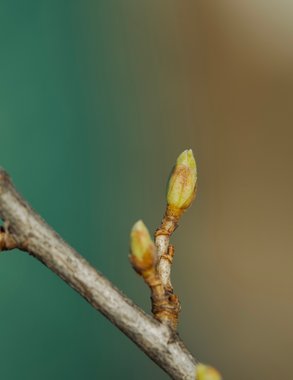 До +15 и дожди: погода в Свердловской области на выходные