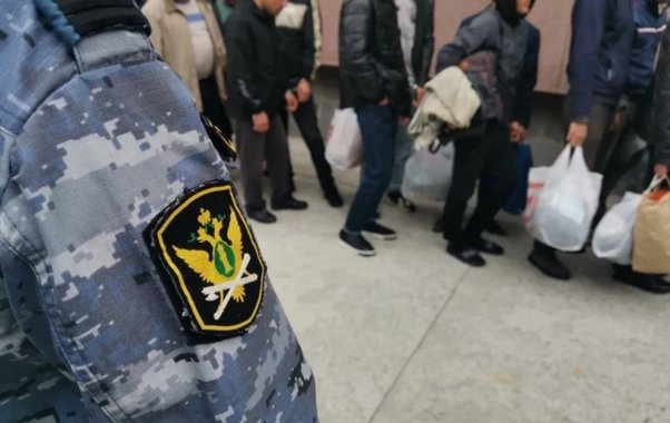 Более 800 нелегальных мигрантов выдворили из Свердловской области за три месяца