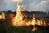 В майские праздники лесные патрули на Урале усилят: за костры — крупные штрафы
