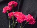 Похоронное пособие с 1 мая: кому, сколько и куда идти