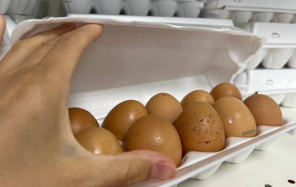 Почему не стоит жарить яйца на подсолнечном масле: примите к сведению – рассказал шеф-повар