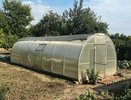 Что посадить в мае на огороде: список из 6 групп для богатого урожая