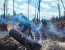 Костры и мангалы под запретом: в регионе ужесточили профилактику лесных пожаров