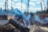 Костры и мангалы под запретом: в регионе ужесточили профилактику лесных пожаров