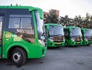 Автобусы №56, 65, 66 и 44 изменят маршруты из-за забега в Новокольцовском
