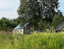 Штраф до 50 тысяч за борщевик: новая схема обмана россиян