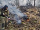 Губернатор призвал уральцев соблюдать особый противопожарный режим после 46 лесных пожаров