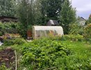 1 стакан вместо машины навоза: земля вдвое плодороднее