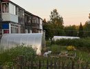 1 ложку сыплю весной — и забываю про удобрения до осени