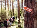 17 мая в Екатеринбурге пройдёт «Майская прогулка»: 4 маршрута, 15 тысяч участников