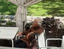 Три заявления в Социальный фонд при выходе на пенсию для максимальной выплаты