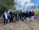 7,2 тысячи сосен высадили уральцы в Березовском лесничестве в память о героях войны