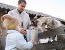 Уральских фермеров зовут на гастрофестиваль «Вкусы России» в Смоленск