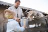 Уральских фермеров зовут на гастрофестиваль «Вкусы России» в Смоленск
