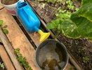Огурцы будут завязываться как бешеные: подкормка борной кислотой