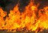 В Свердловской области горит 800 гектаров леса — ввели режим ЧС