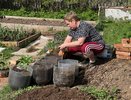 Работа на грядках в жару может привести к инсульту — врачи предупредили дачников
