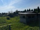 Забудьте об откачке сливной ямы: деревенский лайфхак, который экономит тысячи
