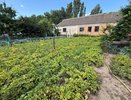 Хватит окучивать картошку по привычке: одна простая истина спасла урожай