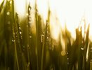 Купаться не зовите: на Свердловскую область обрушатся ливни, но жара никуда не уйдёт