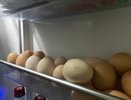 Как хранить яйца, чтобы они не портились неделями. Простые правила