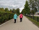 Пенсии в 2026 году: кому добавят в мае и что изменится в августе