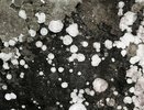 Грозы, ливни и крупный град обрушатся на Свердловскую область 9 и 10 мая