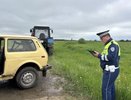 Под Сухим Логом 66-летний водитель на «Ниве» съехал в болото и погиб