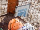 В Екатеринбурге за день вывезли больше 83 тонн отходов с улиц
